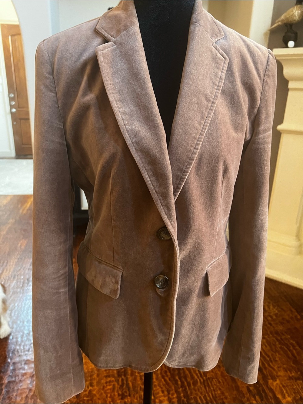 Banana Republic Taupe Velvet Blazer